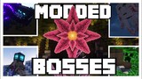 Adding More Bosses to Minecraft with MODS