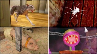 Creepy Pets #6 | Grandpa's White Spiders🏆Miss T's Magic Pet🏆The Dark Internet Cat🏆Mr. Meat's Pig