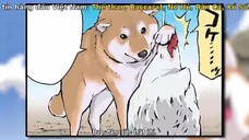 Ngày Tận Thế Với Chú Chó Shiba Của Tôi EP 45 [Sub Việt]