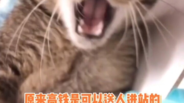 Can high-speed trains now take passengers into the station?