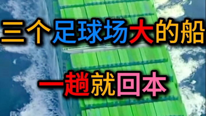 Mua một con tàu trọng tải vạn tấn thì bao lâu mới thu hồi vốn? Bạn sẽ không ngờ đâu, xem đến cuối cù