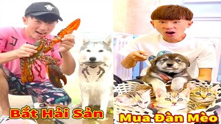 Thú Cưng TV | Gia Đình Gâu Đần #50 | Chó Golden thông minh vui nhộn | Pets funny cute dog