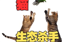 家猫为什么成为了生态杀手？