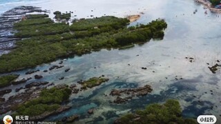 只要不给自己设限，未来的路就没有阻碍。中年最好的状态，是明知道前路有跌落的可能，却依然有重新出发的自信和勇气；敢于有梦，勇于追梦，勤于圆梦。人生的下半场，活得正是一股“气”。摆脱冷气、心存锐气