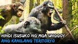 Sinugod Ng Mga UNGGOY Ang Mga TAO | Dawn of the Planet of the Apes Movie Recap Tagalog