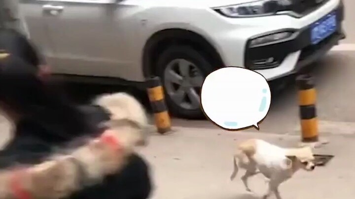 Thành công luôn đòi hỏi phải đánh đổi.