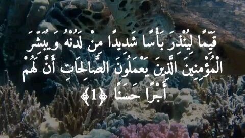 Quran Holy QuranQuran recitationQuran tiliwat statusQuran statusShort Quran recitationTiliwatQuran K
