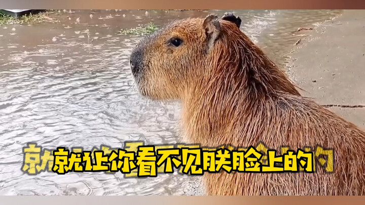 "Can I Sleep in the Middle?"