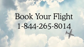 Full List of Official All nippon Airways ℗ ™ CUSTOMER® Service™ Contact Numbers in USA®®