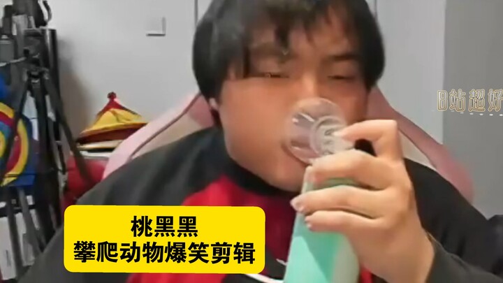 [Tao Heihei] Hilarious Compilation of Climbing Animals