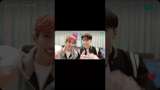 Reenacting the staff's reaction to them almost cutting the cakes before taking photos😄#dk#vernon#svt