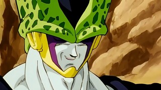 Why is there no possibility for Cell to be cleansed?