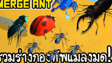 Merge Ant - รวมร่างกองทัพแมลงมด!! เกมส์มือถือ