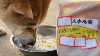 “หมากินอะไร ฉันกินนั่นแหละ พี่หมาช่วยเลือกซุปไก่ตุ๋นให้หน่อยสิ” #คนไม่เลี้ยงหมาไม่มีวันรู้ความสุขของ