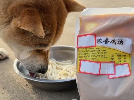 “Chó ăn gì, tôi ăn nấy, anh chó giúp tôi chọn súp gà mái già” #Khôngnuôichókhôngbiếtvuiđủ #Chóăngìtô