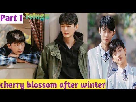 Cherry blossom after winter Part-1 || Korean bl drama explained in Telugu ||