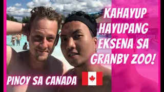 GRANBY ZOO QUEBEC CANADA | GAY COUPLE | PINOY IN CANADA