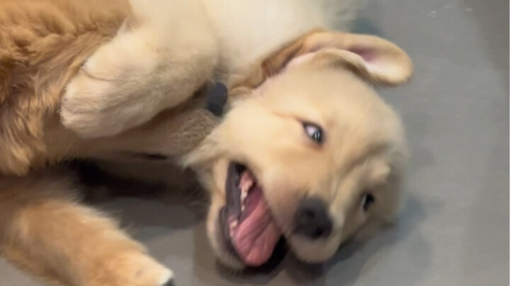 Mom! My sister's biting my cheek! Ah! It hurts so much!