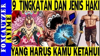 Inilah 9 Tingkatan dan Jenis Haki yang Perlu Kamu Ketahui ( One Piece )