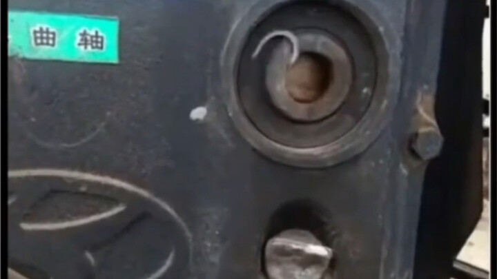 My brain is officially a complete mess now.