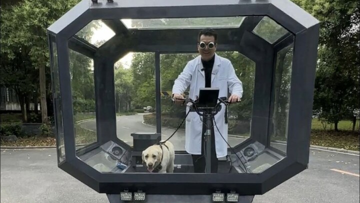 Homemade dog stroller for rainy days, let you and your dog enjoy the fun of walking in the rain toge