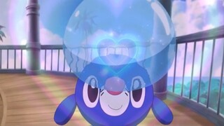 Popplio chú pokemon Hải cẩu cute phomai que