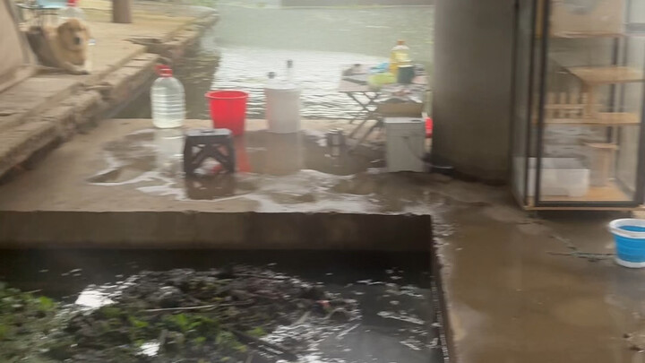 A lot of people have been asking me, “What do you do when you live under a bridge?” So take a look a