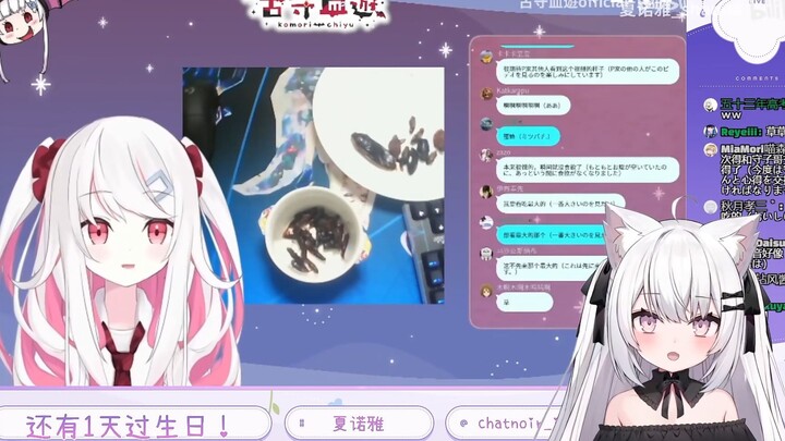 【渣翻熟肉/夏诺雅】古守这人不能处！有虫她是真吃！