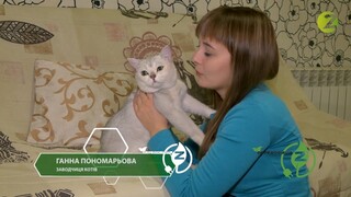 Вплив котів на людину - Середовище Z - Випуск 80