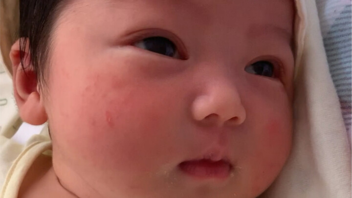 Hari ini aku kasih kalian lihat alloy tembaga yang baru saja lahir