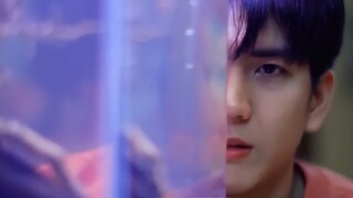 It took a lot of effort to trick the little blind man out to get some fresh air, haha, how come the 