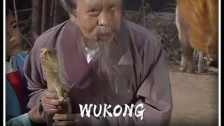 打的过的一个都别想跑,打不过的菩提祖师教他做人!