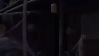 ละครสั้นจีน พากย์ไทย  ทะลุมิติมาสะสมรัก ภาค1