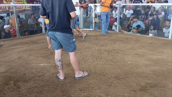 2nd fight 4 champ bluefacehatch kalumpit cockpit arena