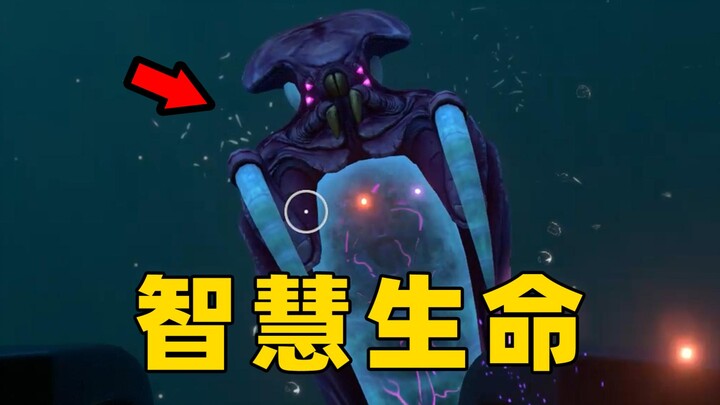 At 300 meters deep in the ocean, I encountered extraterrestrial intelligent life.