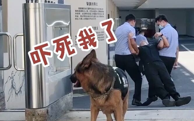 ตำรวจเขตกงซู่ ห่ายเหยียน: เราตักเตือนให้ใส่หน้ากากอย่างอ่อนโยนมากเลยนะ!