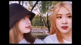 [Tổng hợp]Khoảnh khắc ngọt ngào của Rose và Lisa|<Stuck with you>