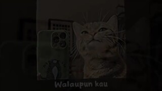 lagu