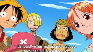 Usopp makes fun of Zoro 🤣🤣🤣#funny