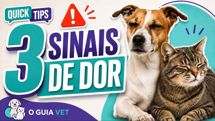 O COMPORTAMENTO DO SEU PET DIZ MUITO SOBRE O QUE ELE SENTE