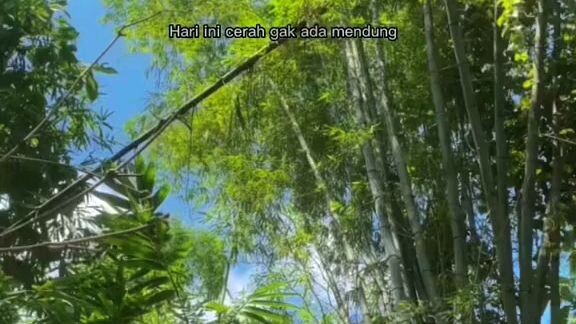 mancing