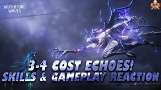 [Wuthering Waves] - 5 Star 3-4 cost Echoes! Choose the best Echo from the web event!