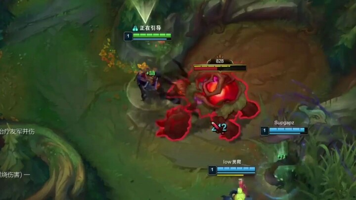 Rabbits and birds just can’t get along—once you lose, you’re really out of here.