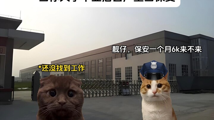 Khi bạn tốt nghiệp đại học rồi đi làm bảo vệ trong nhà máy