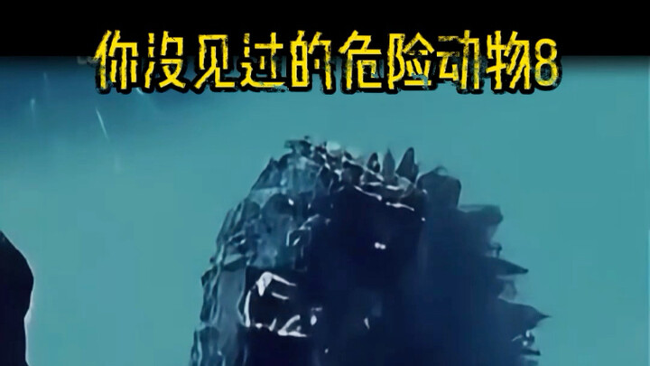 Lihat, semakin jauh Anda melangkah, semakin tinggi energinya.