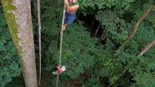 《重生之我是一只吗喽》2.0