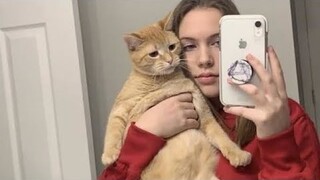The most viral Animal clips on TikTok || Funniest cat and dog 🐱🐶