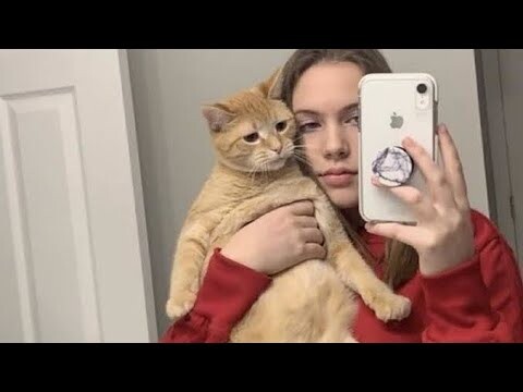 The most viral Animal clips on TikTok || Funniest cat and dog 🐱🐶