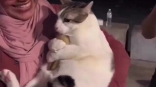 من منا ليس طفلاً بعد؟