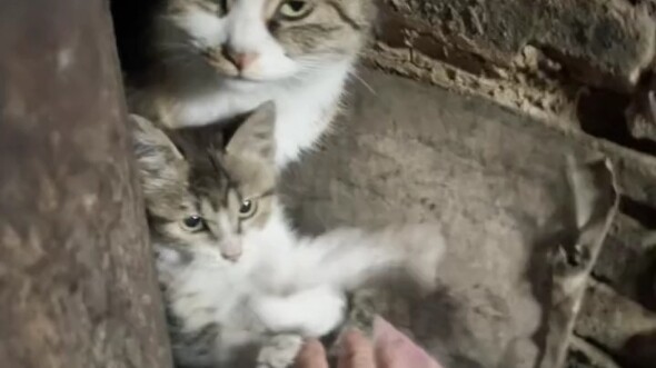 “It’s not that we can’t afford to raise him… it’s just that once a boy grows up, you can’t keep him 